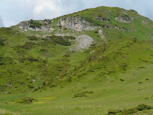 Foto Musceta - versantii SE (c) Petru Goja